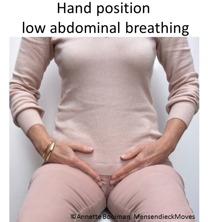 Fig 6 Hand poistion low ab