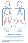 abdominal breathing