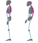 Fig 3a