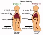 Fig 4a