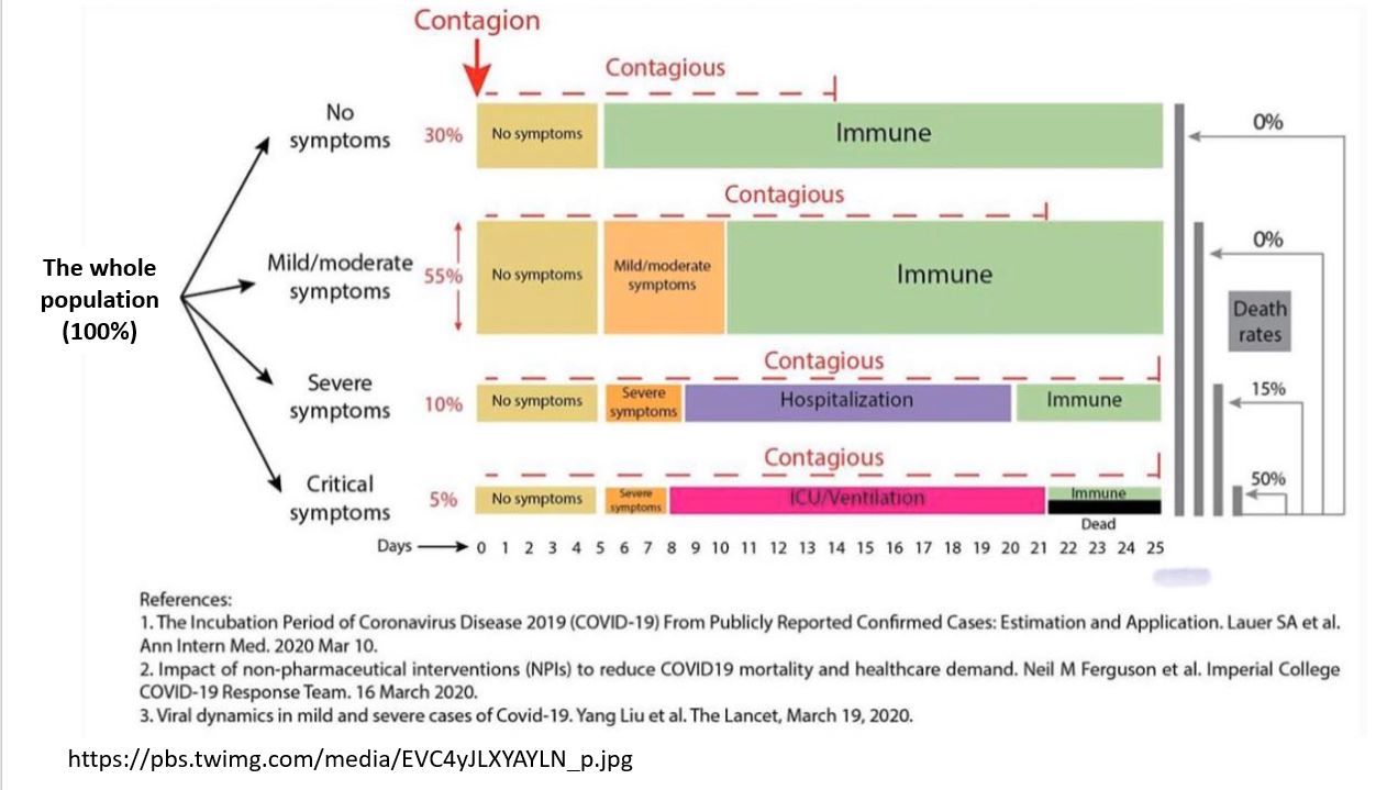 corona virus infection